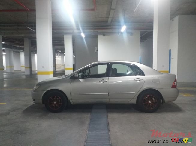 2001' Toyota Corolla photo #2