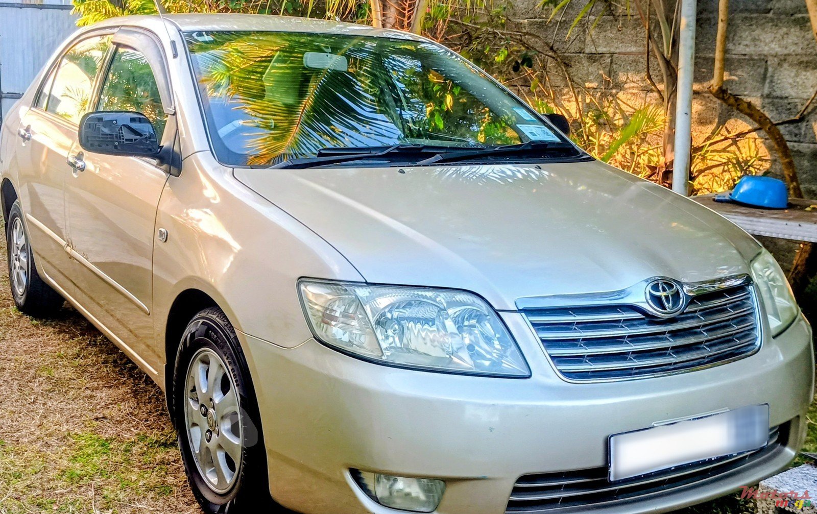 2007' Toyota Corolla photo #1