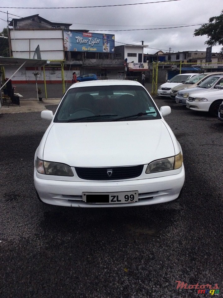 1999' Toyota Corolla E113 photo #3