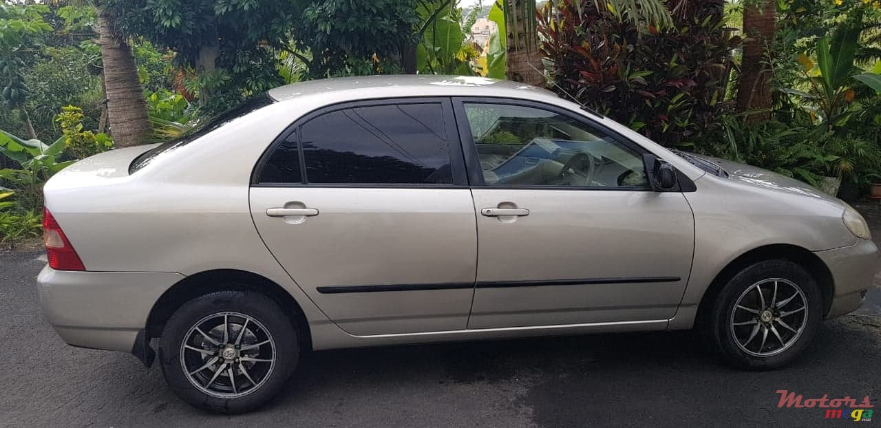 2002' Toyota Corolla NZE photo #7