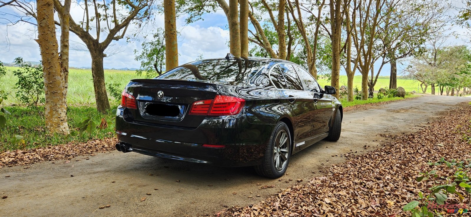 2010' BMW 5 Series photo #5