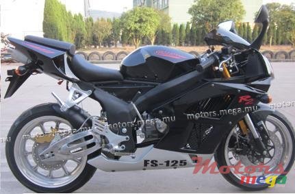 2012' Stella stallion photo #1