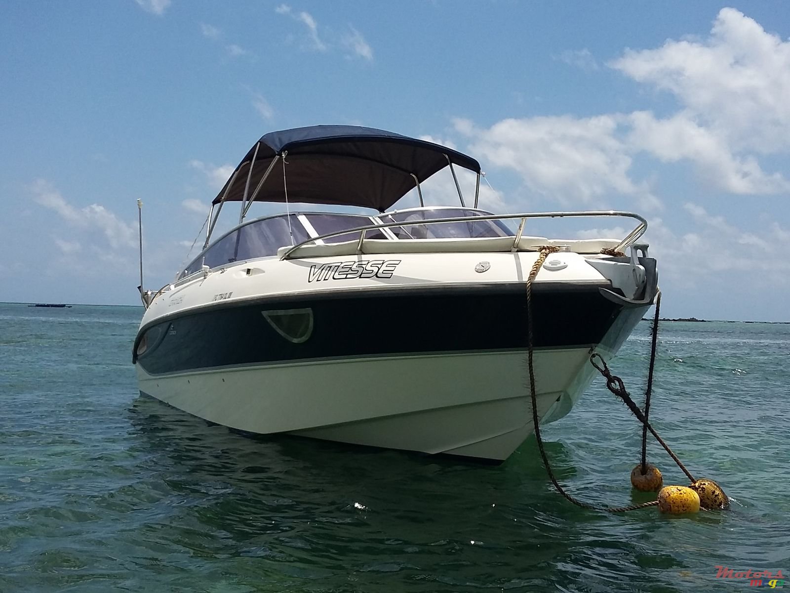 2008' Cranchi photo #1