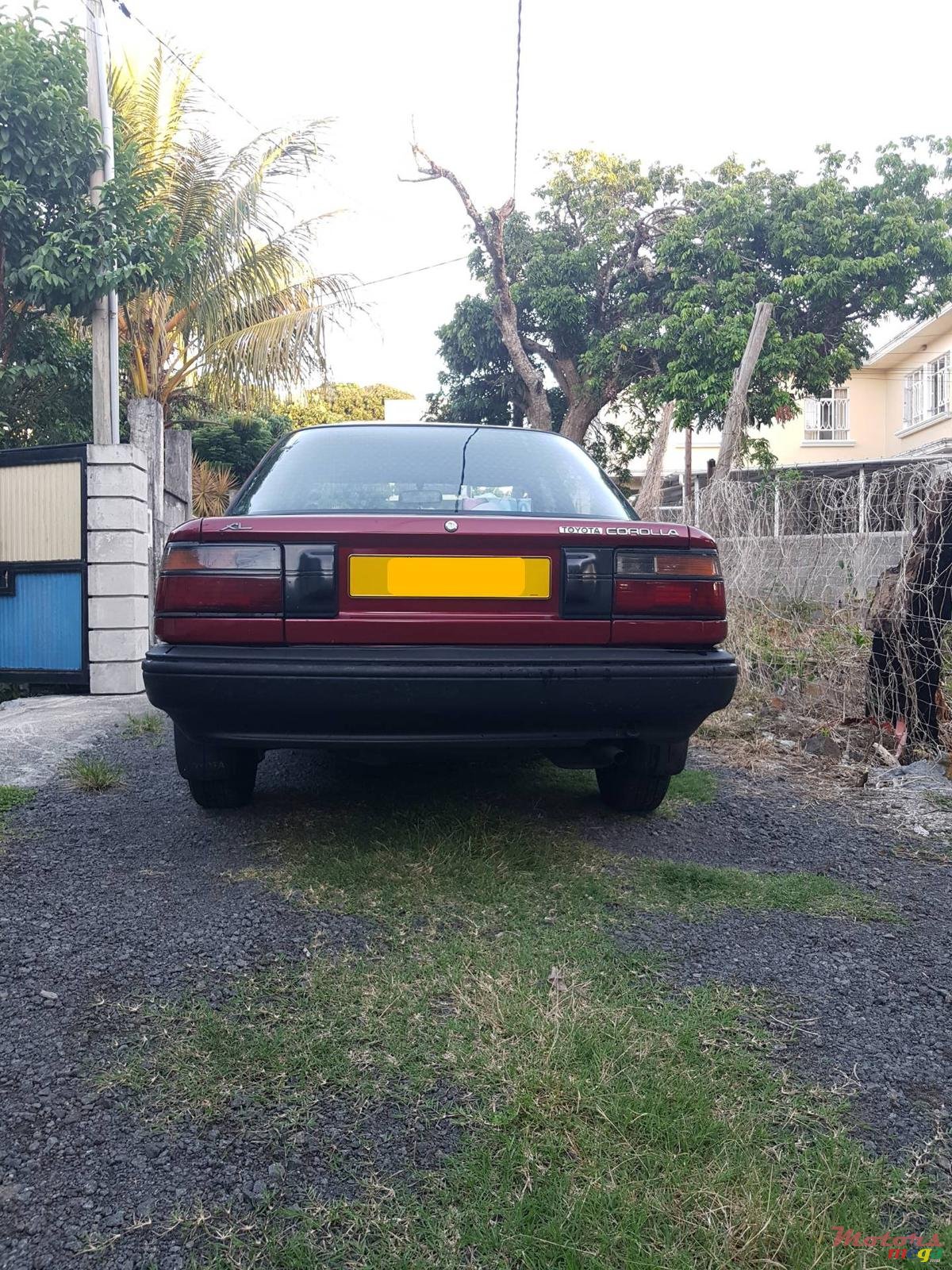 1990' Toyota Corolla photo #2