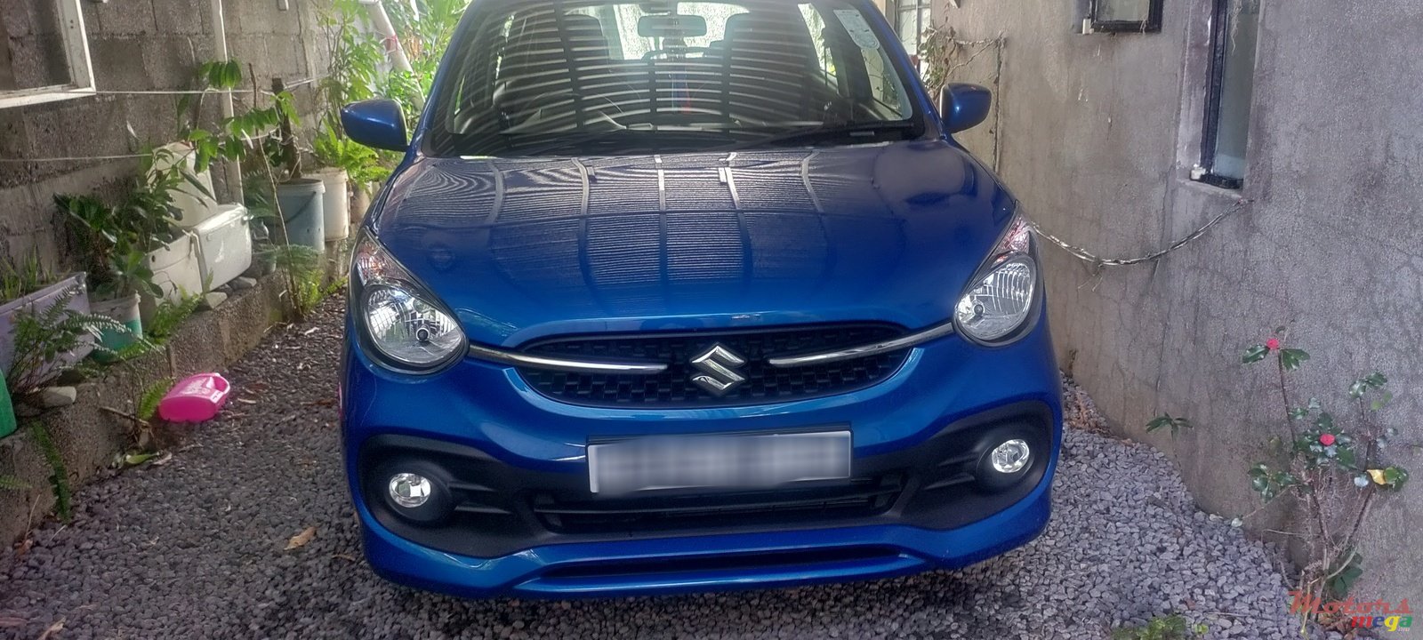 2023' Suzuki Celerio photo #3