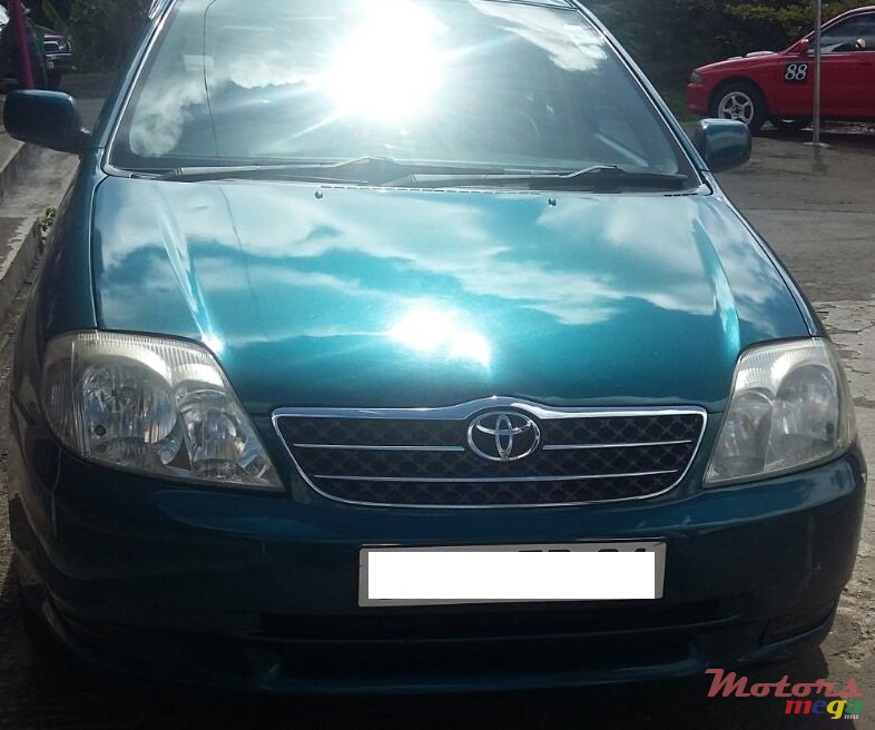 2001' Toyota Corolla photo #1