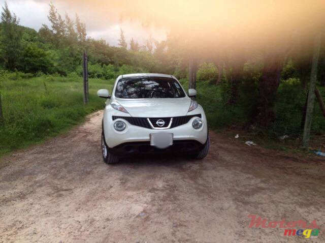 2010' Nissan Juke photo #3