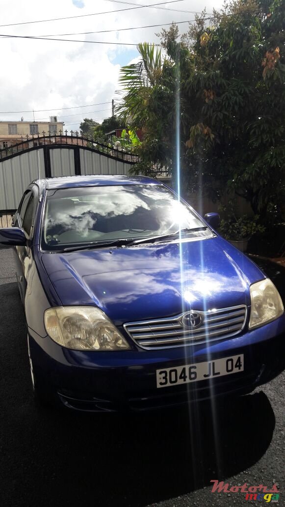 2004' Toyota Corolla photo #5
