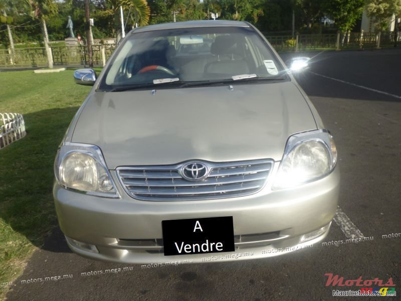 2001' Toyota Corolla photo #1