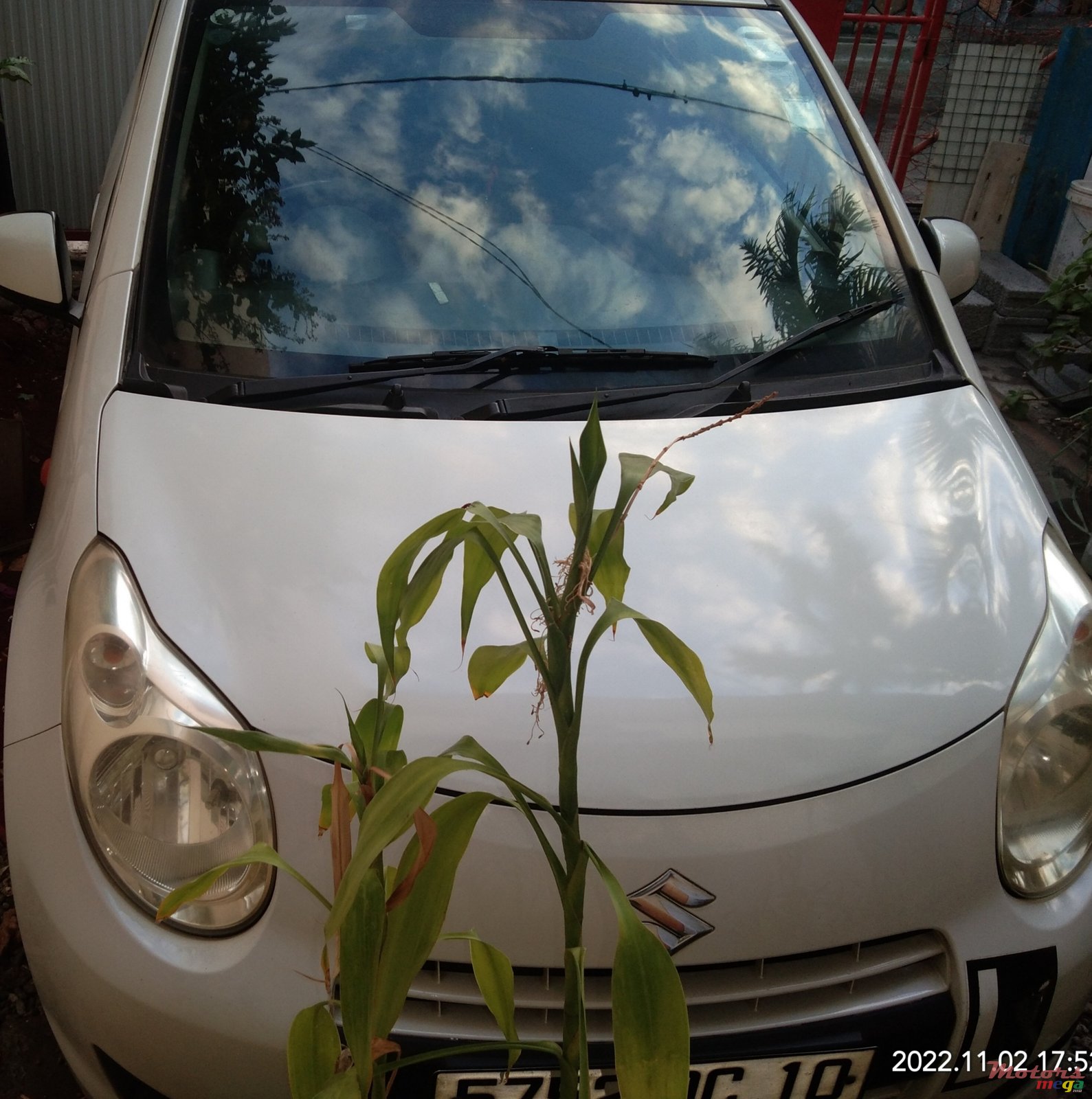 2010' Suzuki Celerio photo #1