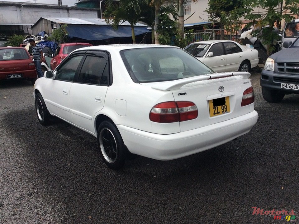 1999' Toyota Corolla E113 photo #5