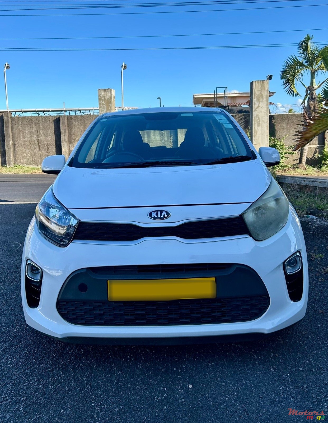 2020' Kia Picanto photo #2