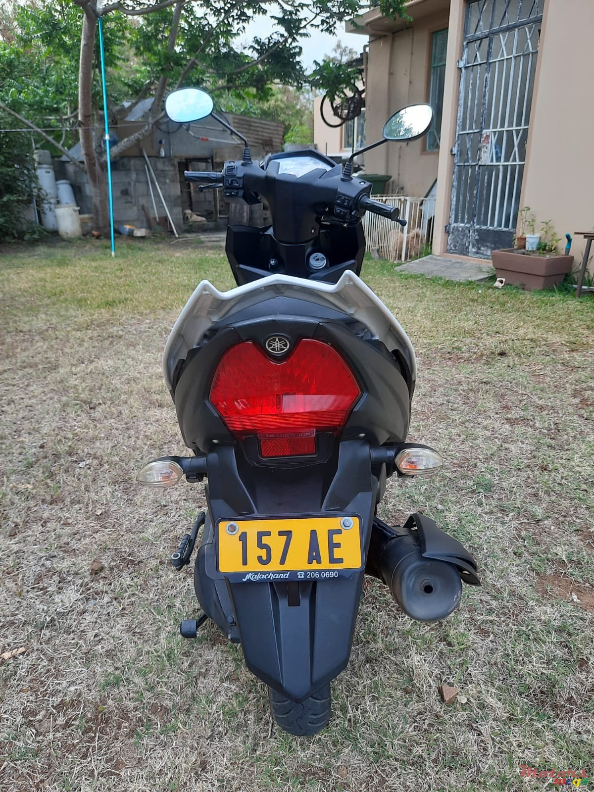 2019' Yamaha XC115B SERIE AE photo #5