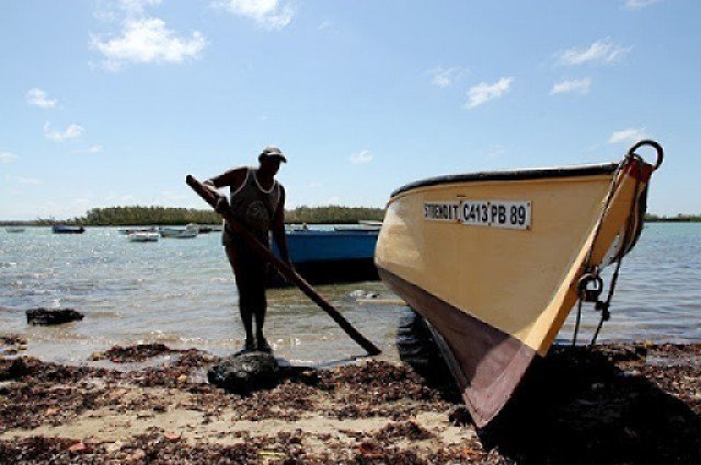 Reprise de la pêche le 12 décembre : les pêcheurs du sud-est craignent que le gouvernement mette fin au Wakashio Solidarity Grant