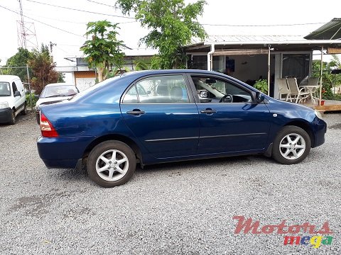 2005' Toyota Corolla NZE photo #4