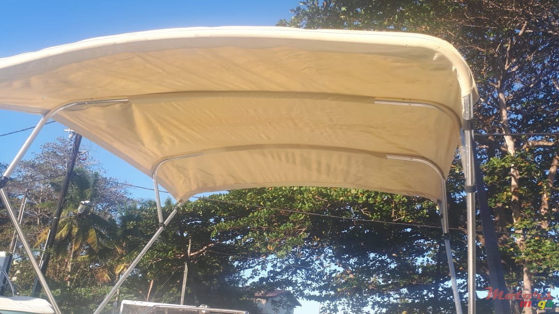 2004' Tremlett photo #2