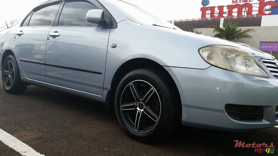 2005' Toyota Corolla NZE photo #2