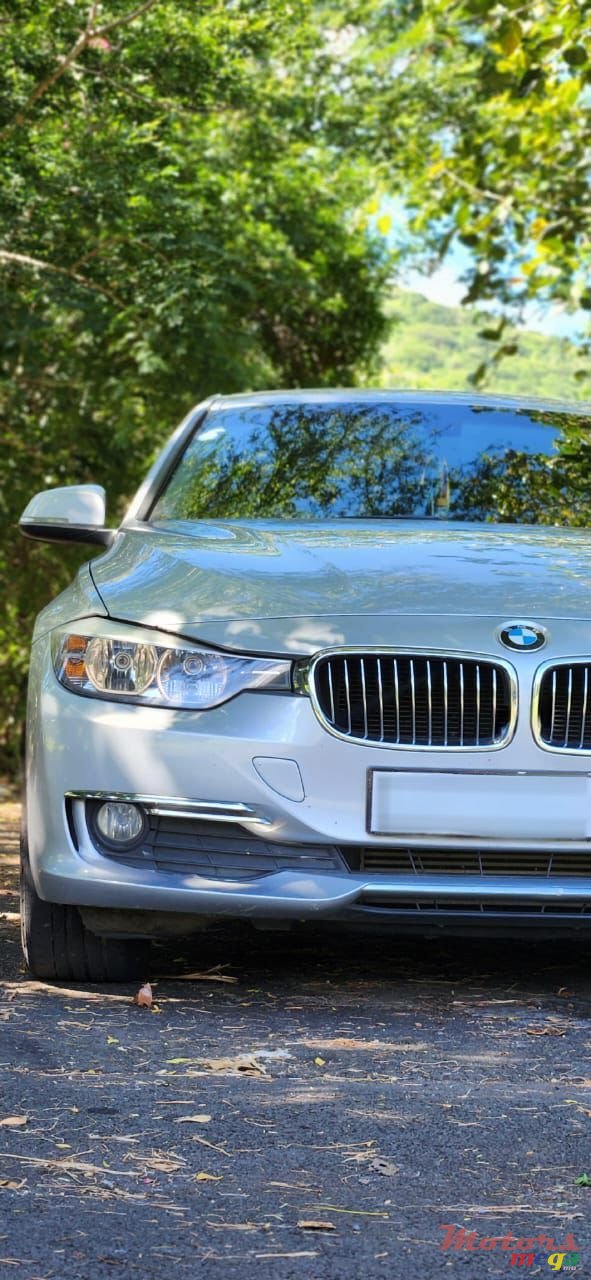 2014' BMW 316 photo #2