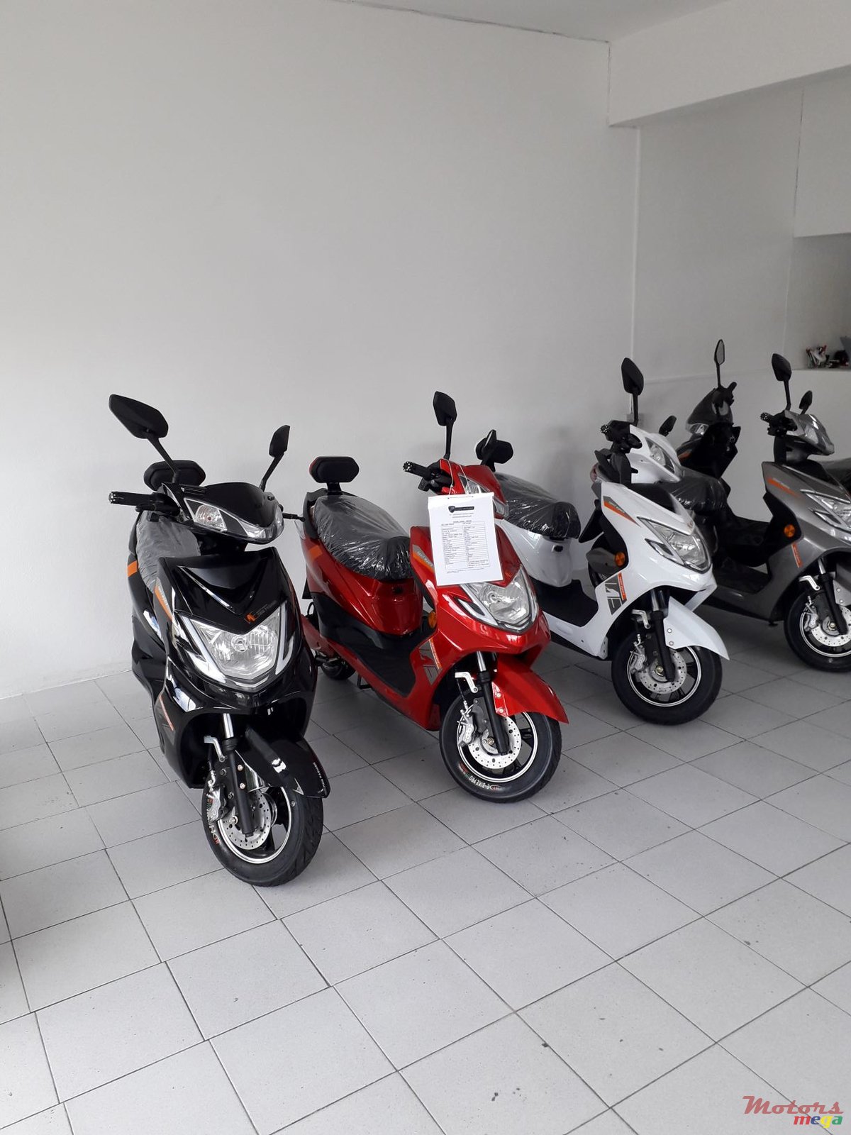 2019' Warrior photo #3