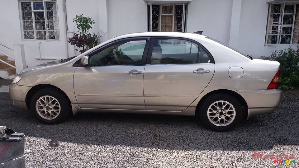 2002' Toyota Corolla NZE photo #4