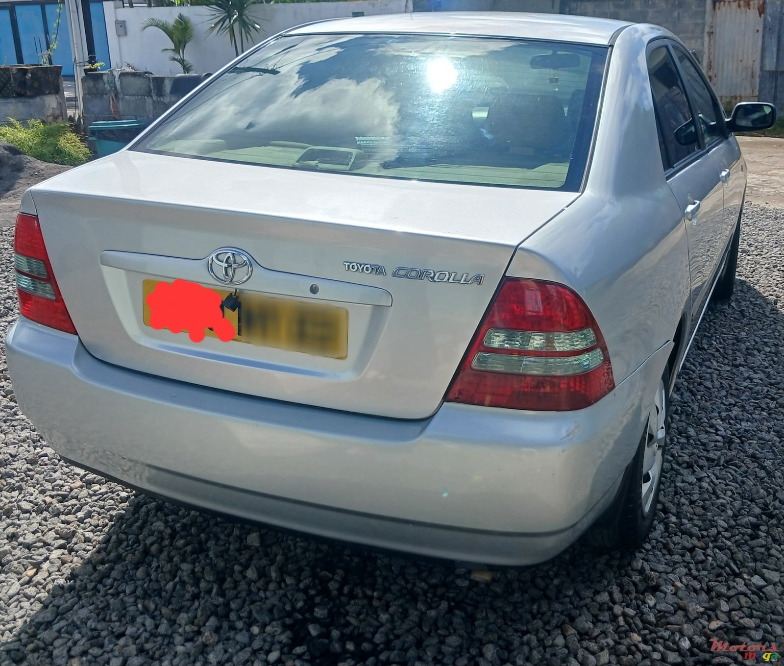 2003' Toyota Corolla photo #1