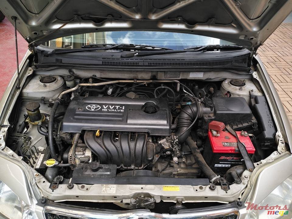 2002' Toyota Corolla NZE photo #7