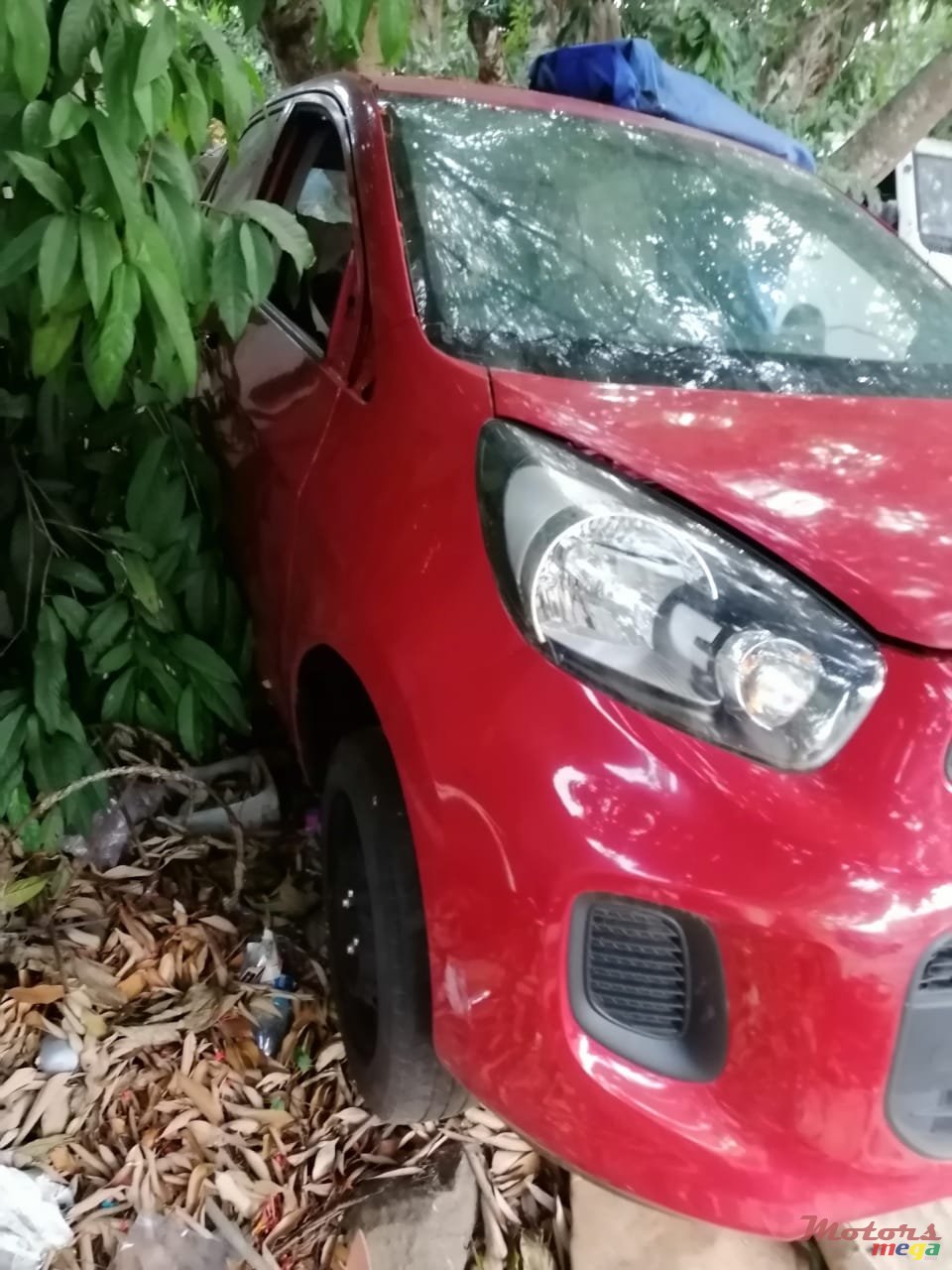 2013' Kia Picanto photo #2