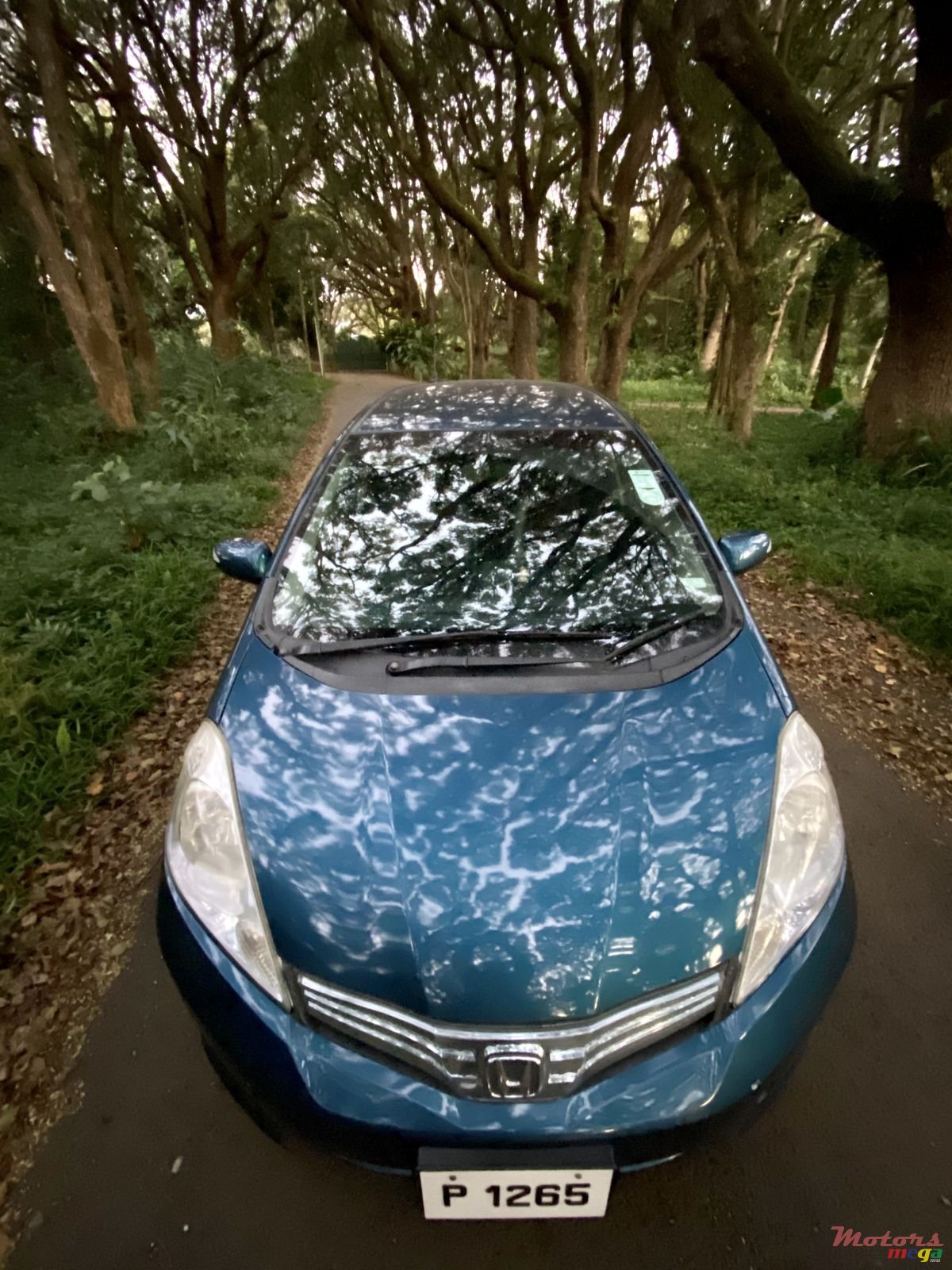 2013' Honda Shuttle photo #1