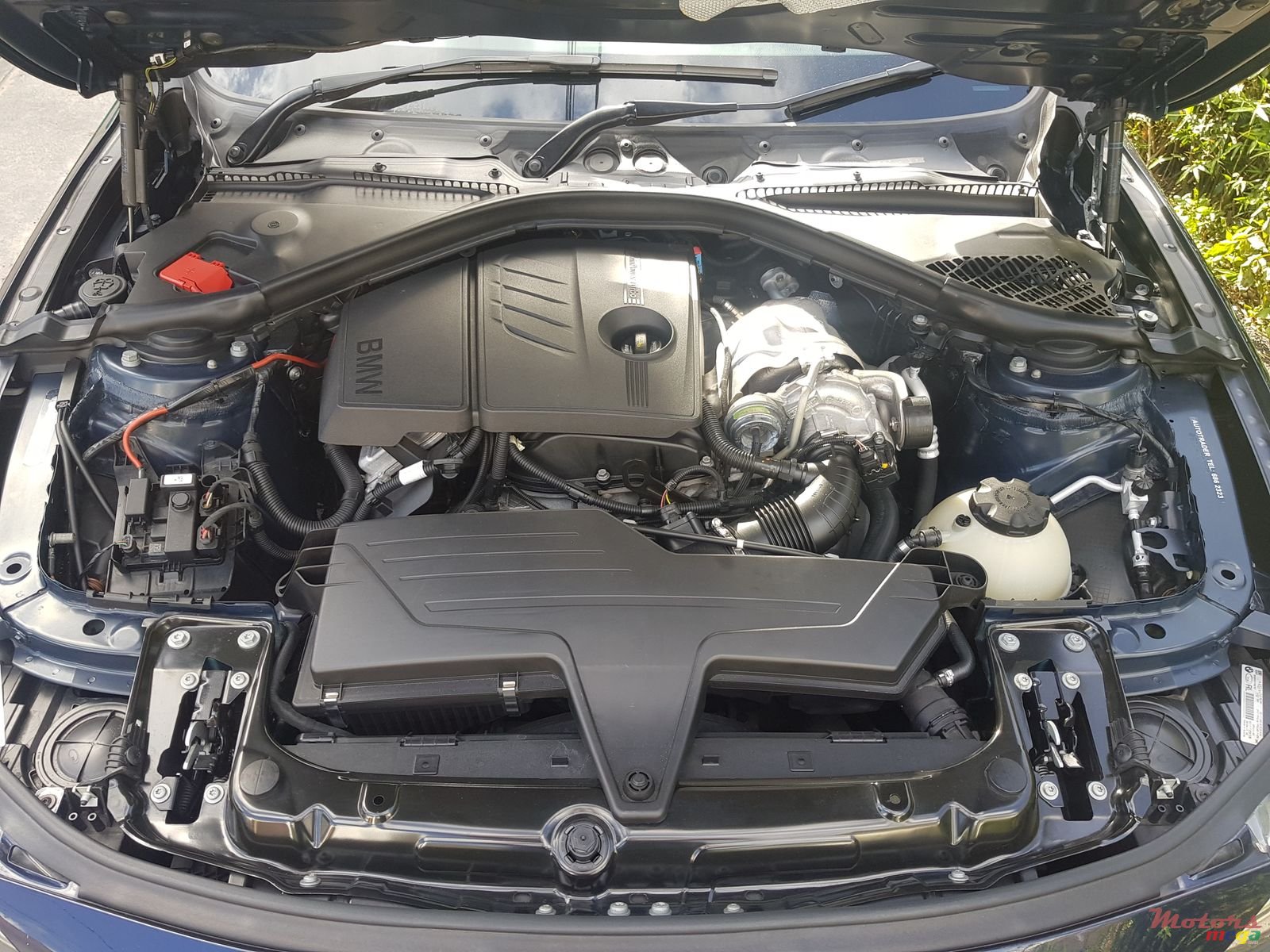 2013' BMW 316 photo #6