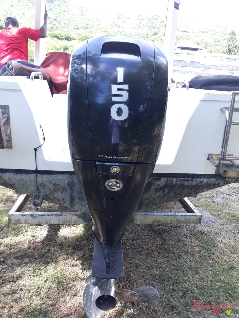 2016' Mercury SeaPro photo #4