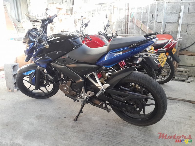 2015' Panzer Pulsar photo #2