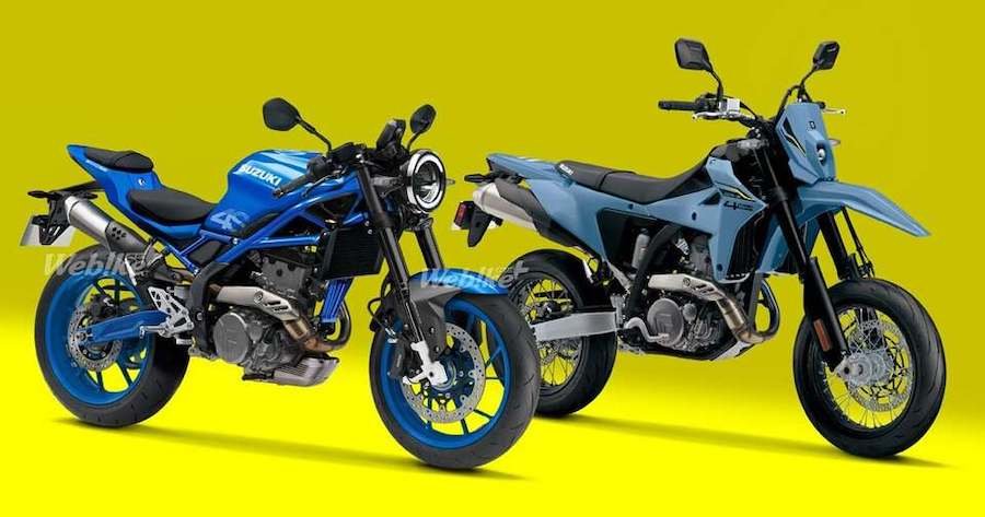 Après la DR, Suzuki pourrait relancer la Goose
