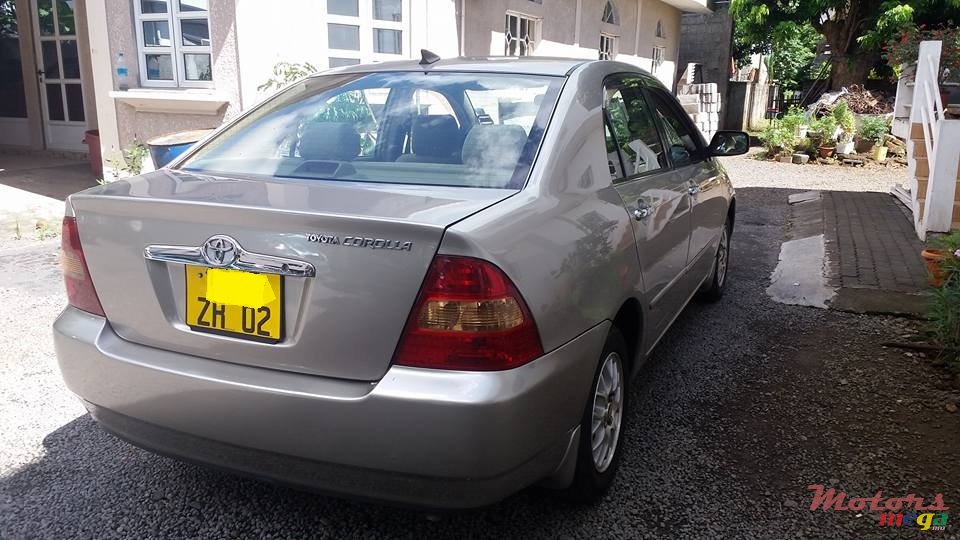 2002' Toyota Corolla NZE photo #6
