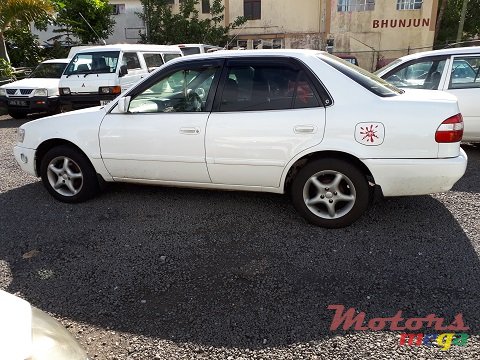 1998' Toyota Corolla photo #4