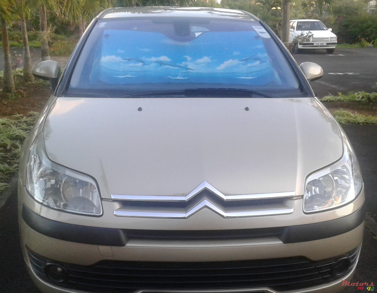 2008' Citroen C4 photo #1