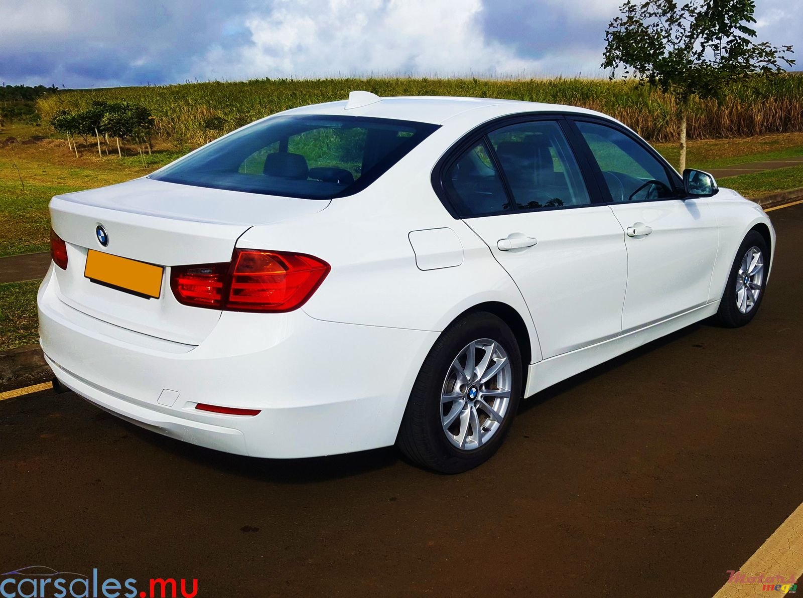 2013' BMW 316 i photo #5