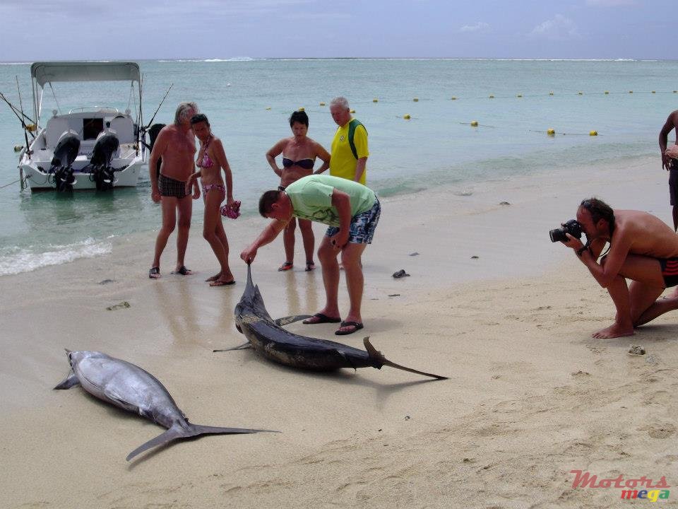 2008' Tremlett photo #6