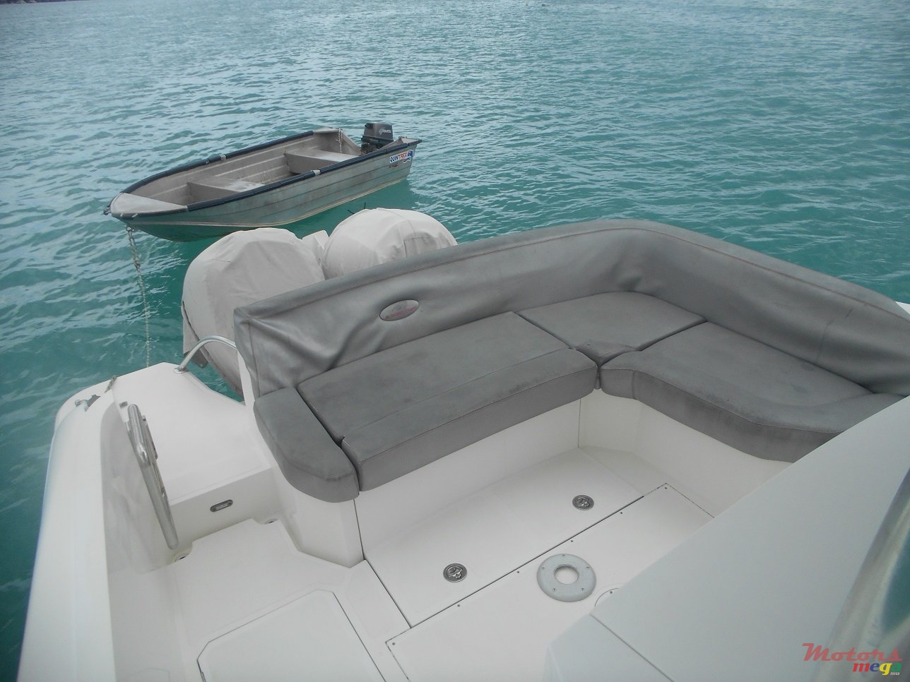 2011' Evinrude photo #6