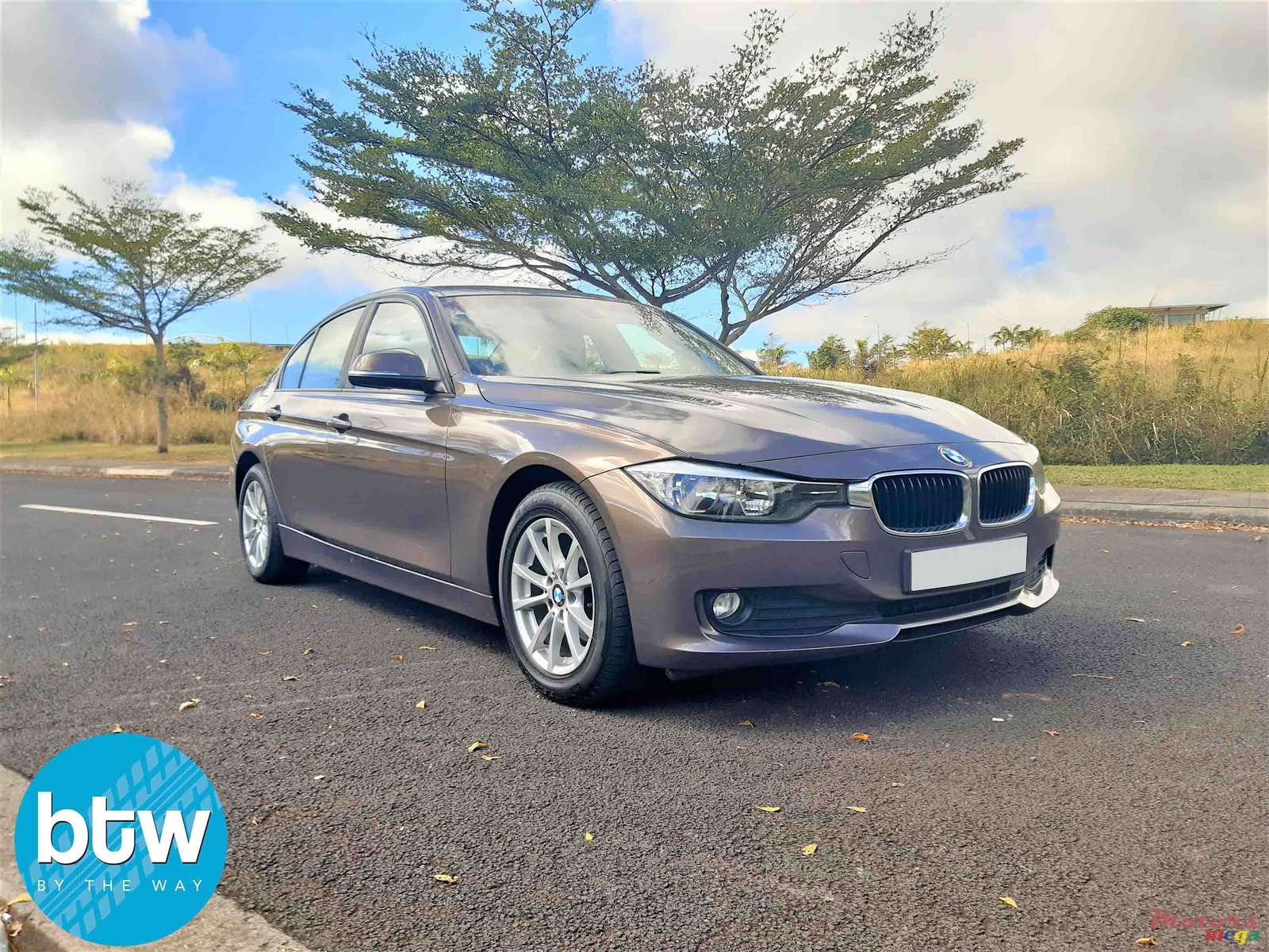 2013' BMW 3 Series 316i photo #1