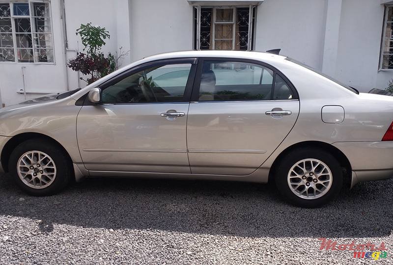 2002' Toyota Corolla NZE photo #4