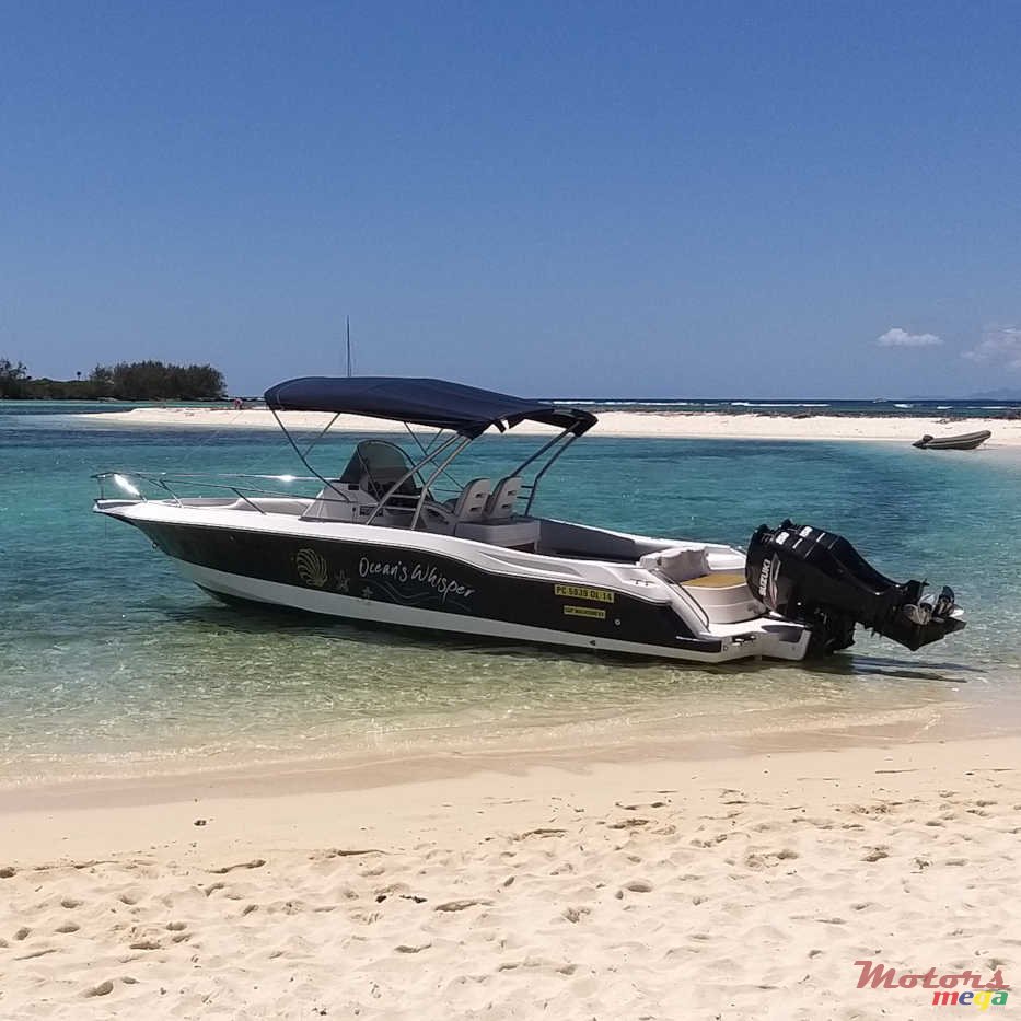 2011' Legend OV CC 28 photo #5