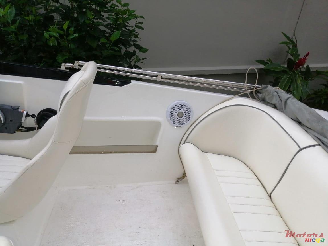 2007' Cobra photo #6