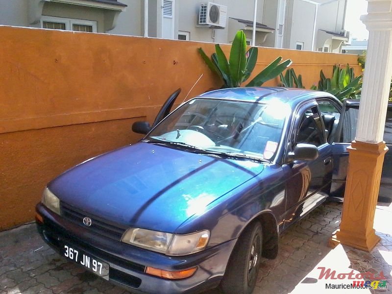 1997' Toyota Corolla photo #2