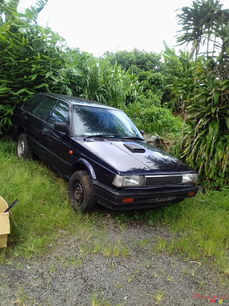 1987' Nissan Sunny photo #4