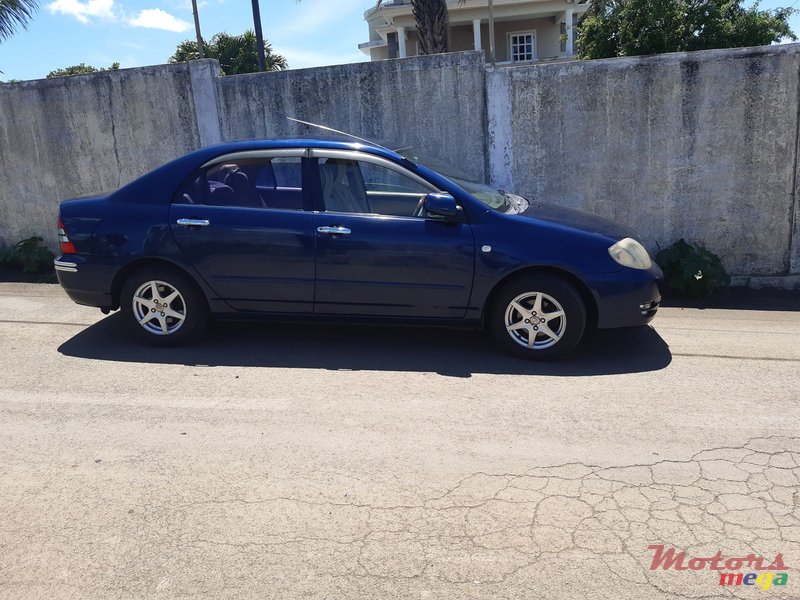 2003' Toyota Corolla photo #2