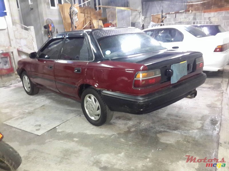 1989' Toyota Corolla EE90 photo #5