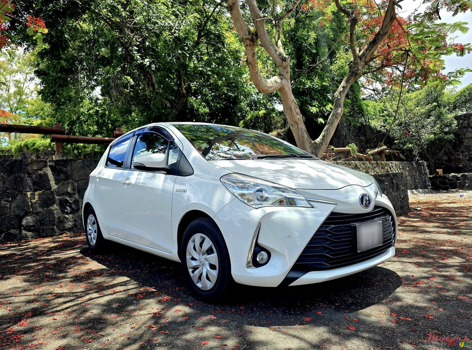 2019' Toyota Vitz photo #2