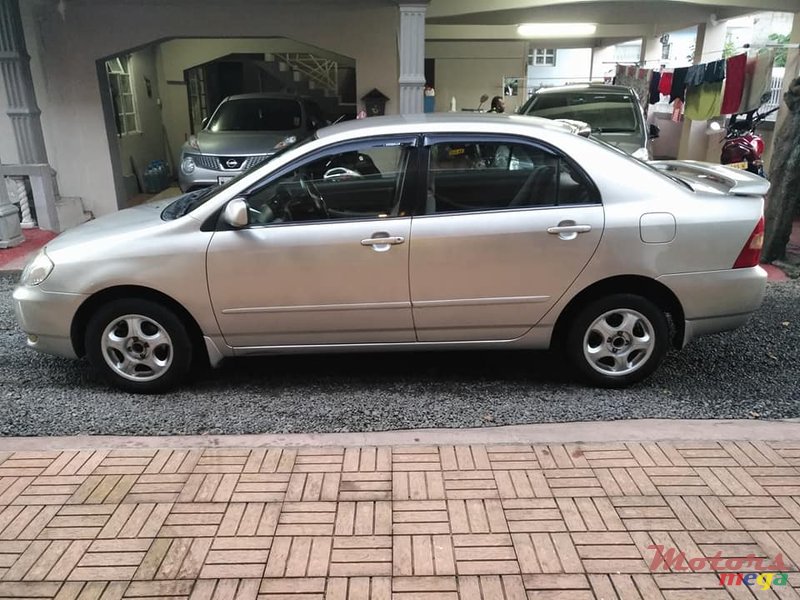 2001' Toyota Corolla NZE photo #4