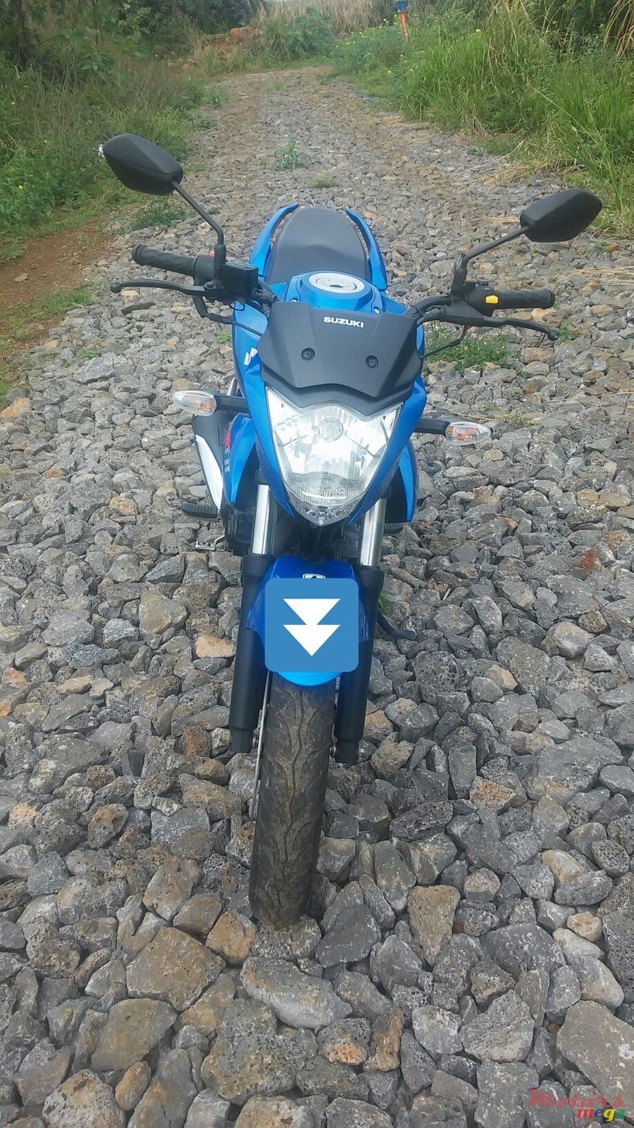 2015' Suzuki photo #5