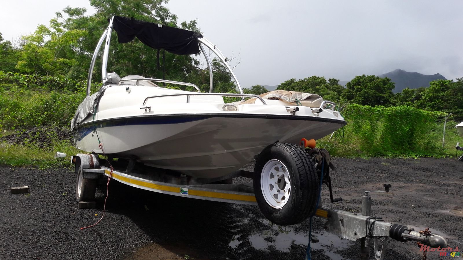 2014' Sunsation photo #5